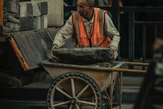 炒仁的神奇功效与作用全解析