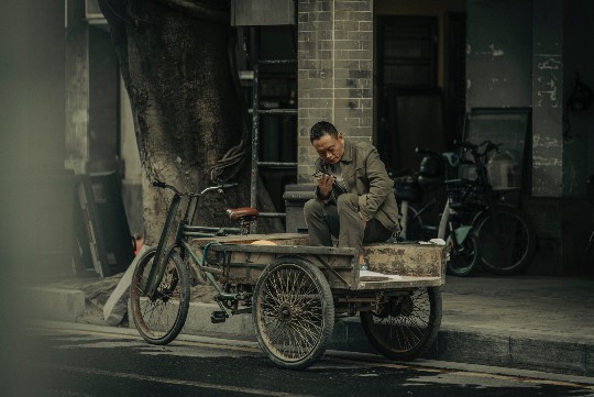 揭秘老虎刺，独特形态与药用价值的深度探索