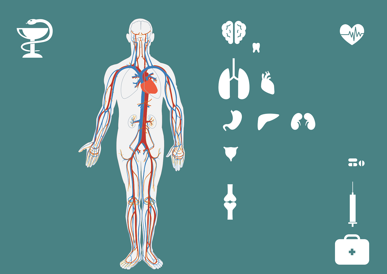 人参败毒散，传统良方，现代健康守护新解